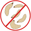 Maggot Control Braeside